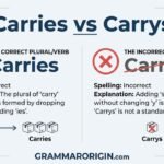 Carries or Carrys_ Correct Spelling, Rule & Examples